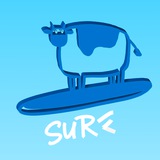 Surf Flutter Team
